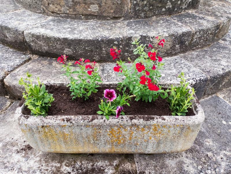 fleurs