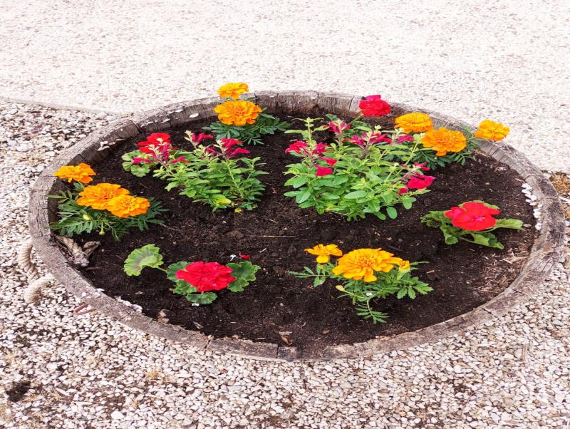 fleurs