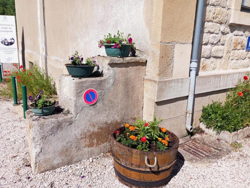 fleurs